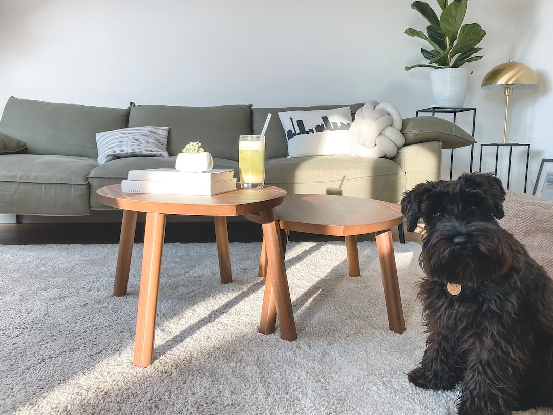 Boost Your Homes Aesthetic and Save Money with Latest Carpet Sales!