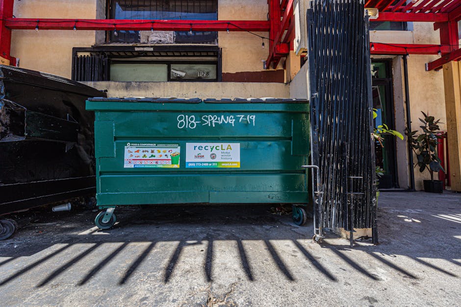 Your Guide to Affordable Dumpster Rentals in San Diego